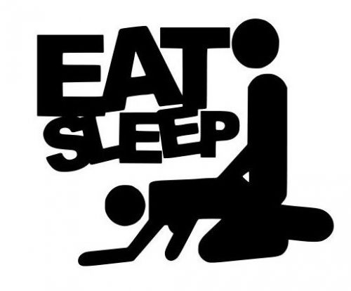 Eat sleep f@ck vinyl decal