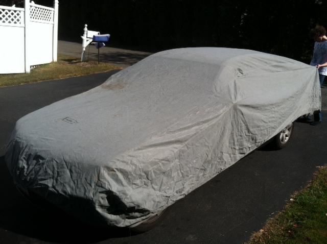 Car cover by budge #3