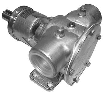 Johnson pump 101302196 f8b-8007 1 1/2 npt-1 shaft