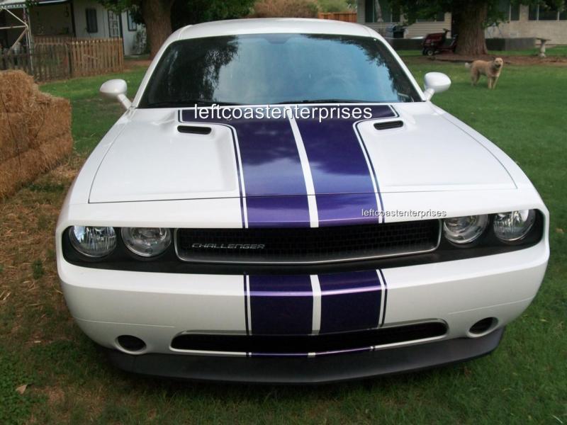 Dodge challenger rt, srt,se plum crazy purple metallic stripes,fits 2008-2013