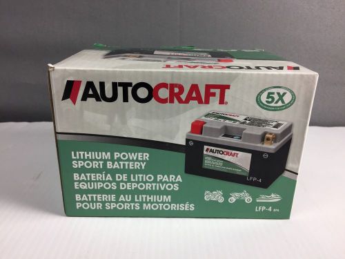 Autocraft lfp-4 lithium power sport battery