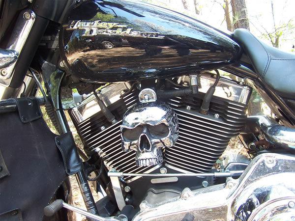 Skull horn cover harley polished alum 93 to present fits all big twins & v rod