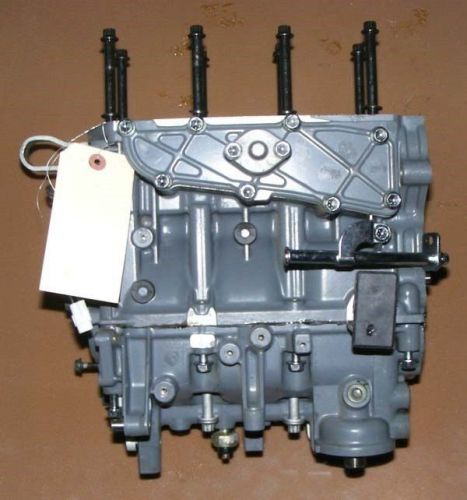 H4a1186 2005 johnson j30pl4so 30 hp cylinder block asy pn 5035999 fits 2005-2007