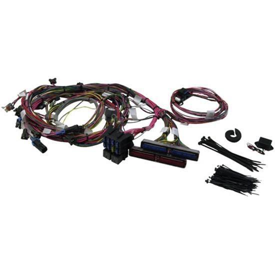 Find New Painless Wiring 1999-2002 GM/Chevy LS1/LS6 Engine Harness