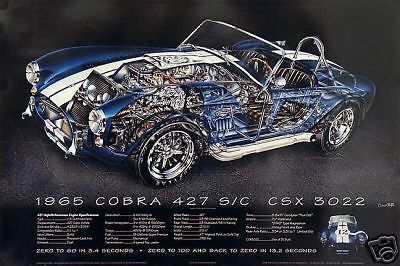 Ford cobra 427 s/c , csx  1965 cutaway  poster rare