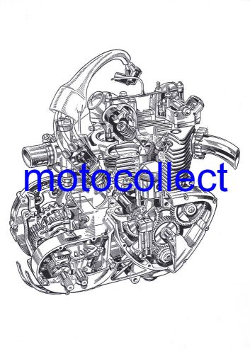 Triumph unit 350 / 500 engine - cutaway technical drawing. size a3 420mm x 300mm