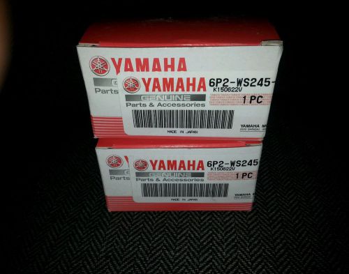 Yamaha 6p2-ws245-00-00 fuel filter f250tur/turd f250txr/txrd same day ship