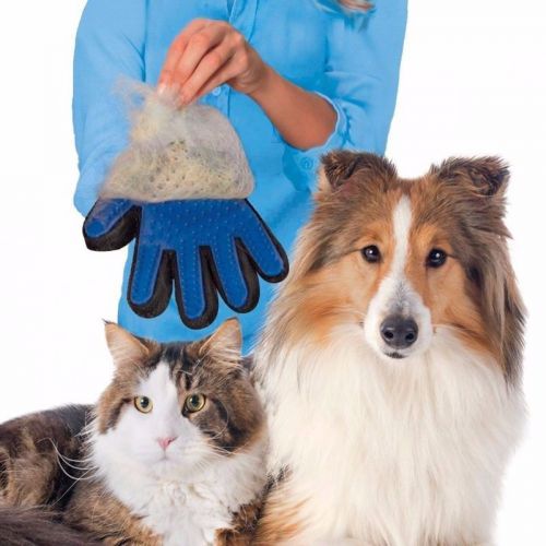 Pet glove new model 2017 free shipping