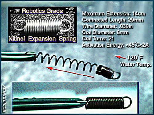 Ni55 muscle//trigger certified action spring /&lt;120°f or +/- 0.3a reaction point