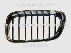 Bmw e53 (01-03) grille kidney grill left front oem new + 1 year warranty