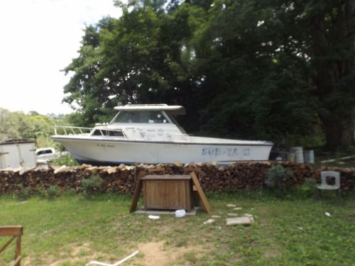 No reserve! 26&#039; stamas project boat w trailer hardtop twin stern drive 160