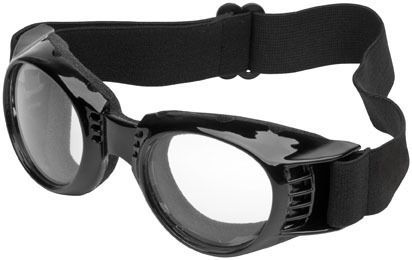 River road paragon goggles clear lens