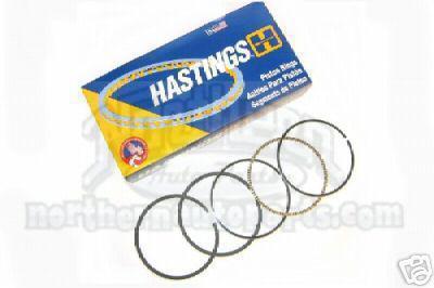 Hastings Manufacturing 2M139-60 Chrome Moly Rings 4" bore plus .060" set