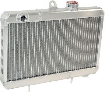 Saldana micro sprint aluminum radiator,12&#034;x18.25&#034;,triple pass,600 mini,dirt
