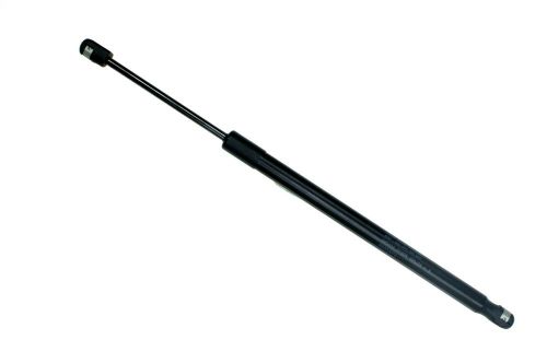 Sachs sg304074 lift support