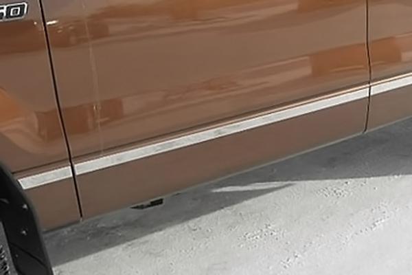 Saa mi49317 09-13 ford f-150 molding insert polished truck chrome trim