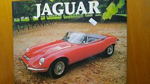 Jaguar picture book