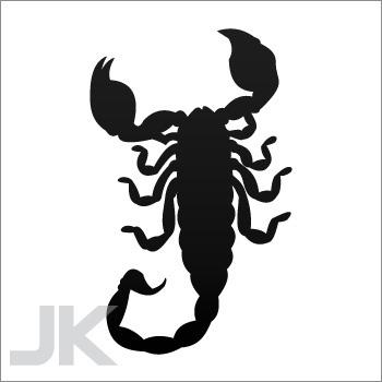 Decal stickers scorpion poison death scorpions attack pincer sting 0502 xx7va