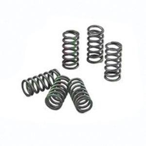 Kg clutch factory h/p spring set for kawasaki zx-10r 04-10
