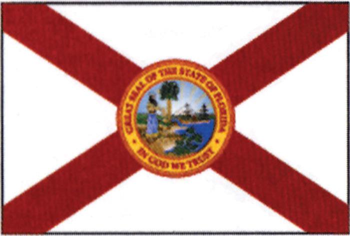 Taylormade florida flag 12" x 18" 93096
