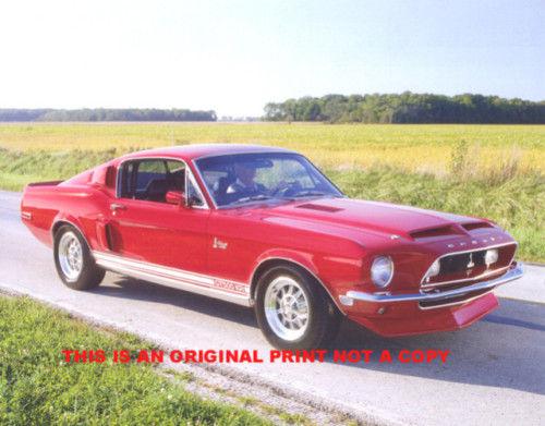 1968 ford mustang shelby cobra gt-500 kr hard to find muscle car print