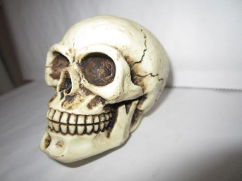 No eye skull ratrod shift shifter knob skeleton new universalt fit all makes
