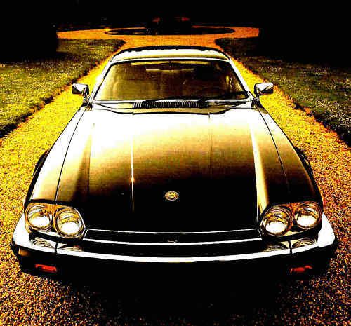 1982 jaguar xj-s deluxe factory brochure -jaguar xjs v12--jaguar xj s v12