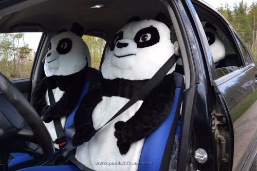 Car covers panda