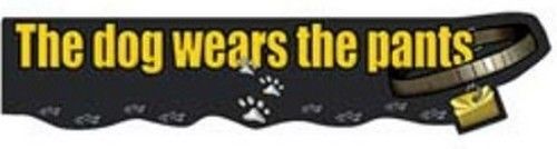 Rv trailer camper decals dog wears the pants 5 inch x 24 inch rvaf-0034