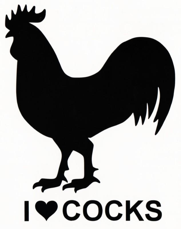 "i love cocks" rooster gay prank joke vinyl decal car window bumper sticker bird