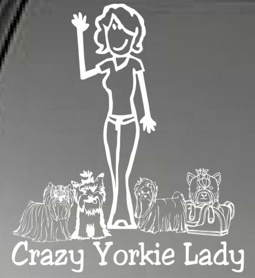 Crazy yorkie lady  **decal sticker auto car window laptop vinyl**