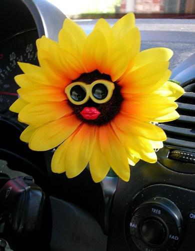 Vw beetle flower - sunflower withyellow sunglasses