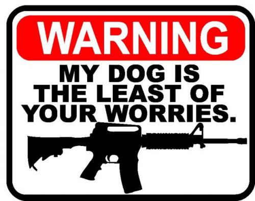 Warning decal - dog is least of your worries- ar15 sticker gun rifle house home