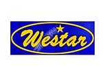 Westar industries ds5227 center support bearing