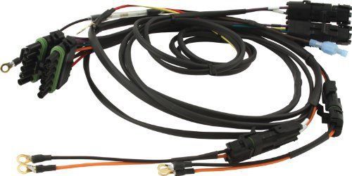 Quickcar racing products 50-2021 ignition wiring harness