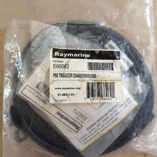 Ray marine transducer