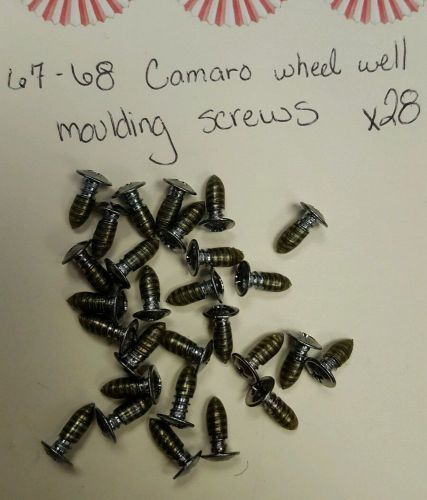 1967-1968 camaro wheel well molding screws