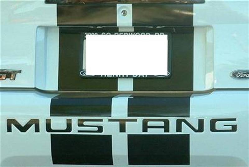 1999-2004 mustang letter inserts decals 00 01 02 03 rear bumper letters