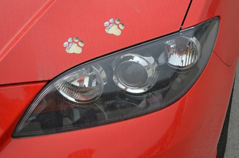 New bear paw pet animal footprints car truck decor 3d sticker decal sticker
