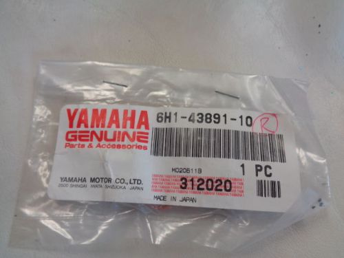 Yamaha 6h1-43891-10 brush marine boat