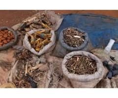 Lost love spells caster , traditional doctor/+27639233909 