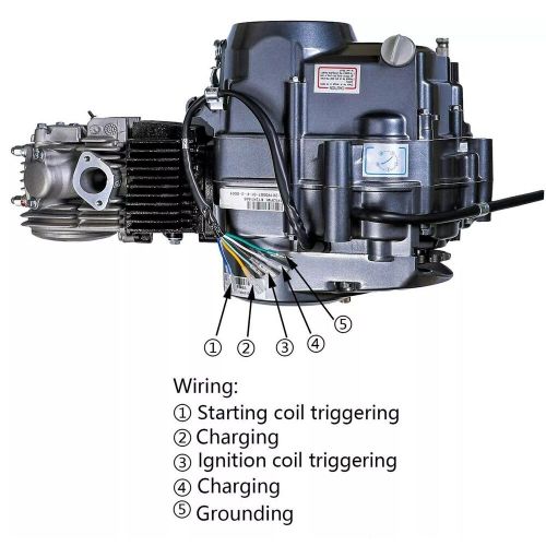 Lifan 125cc Engine 4 Stroke Motor For Trail Bike CT70 90cc 110cc 125cc Pit Bike, US $459.25, image 11