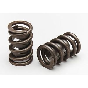 Lunati 74660-16 dual valve spring with damper set of 16 1.620" o.d. new