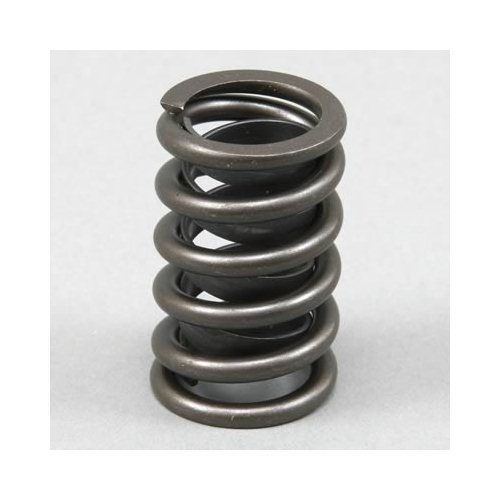 Sealed power valve spring vs-522
