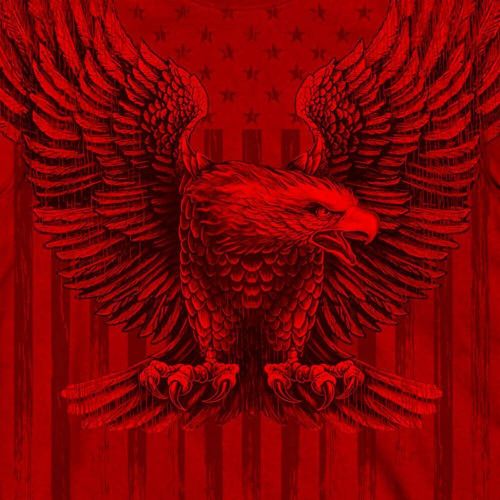 Milwaukee leather men's half sleeve 100% cotton printed t-shirt mpmhxx