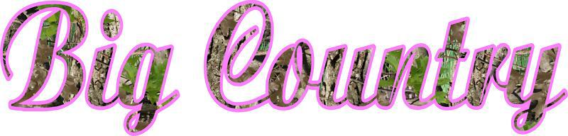 Mossy oak camo light pink big country window decal 5x36"