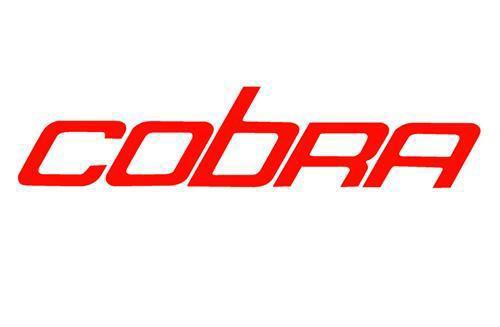 Ford mustang gt cobra decal red or silver canadian trunk lid  vinyl lettering   