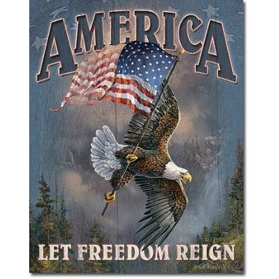 Nostalgic america let freedom reign eagle flag tin sign