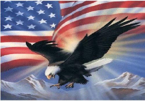 Small biker flag american eagle in flight motorcycle flag biker 6&#034; x 9&#034;