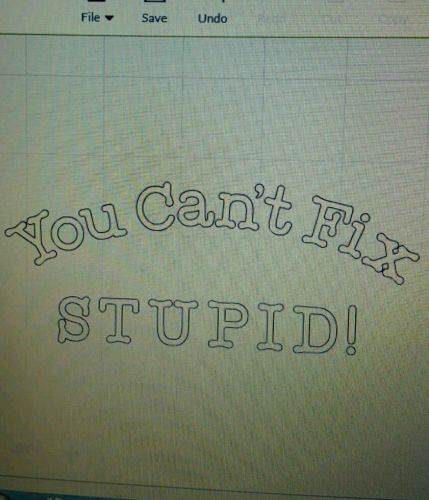 You can't fix stupid decal